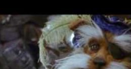 Sir Didymus Sir Didymus clips and quotes.