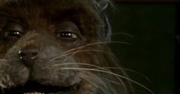 A close-up of Splinter, the wise rat mentor, showcasing his unique character with fur and expressive features.