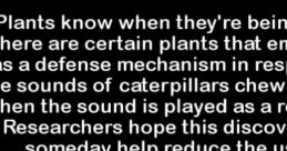 Plants can detect caterpillar sounds and adapt, potentially reducing reliance on pesticides. Fascinating environmental facts!