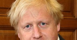 Boris Johnson poses for a portrait, wearing a suit and patterned tie, against a wooden backdrop.