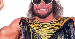 Macho Man Randy Savage flexes muscles, wearing a vibrant tiger-striped outfit and iconic championship belt.