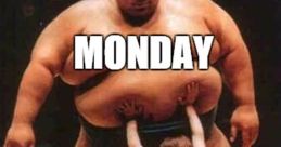 Humorous SUMO meme depicting a small figure struggling against a large wrestler, captioned 'MONDAY ME.