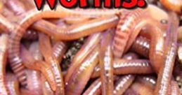 Colorful worms wriggling on soil, perfect for kids to explore and learn about nature's decomposers. Fun and educational!