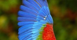 Colorful macaw flying, showcasing vibrant blue, green, and red feathers against a blurred natural background.