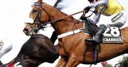 Horse Racing (Chases) Horse Racing (Chases) clips and effects, available to play and download.