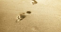 Footprints in golden sand, symbolizing a journey or adventure, create a serene and reflective atmosphere.