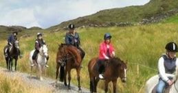 Pony Trekking Pony Trekking clips and effects, available to play and download.