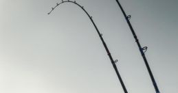 Trolling fishing rods set in a calm, foggy water landscape ready for a day of fishing adventure.