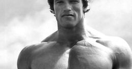 Arnold Schwarzenegger showcasing impressive physique and muscular build, exemplifying classic bodybuilding strength and aesthetics.