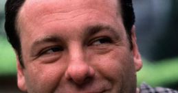 Tony Soprano smiling in a casual plaid shirt, reflecting his complex character in the iconic mob drama series.