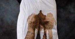 White pants stained with brown, humorously implying a pants-filling accident. Perfect for relatable viral moments.