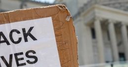 Protester holding a sign reading "Black Lives Matter" at a rally, advocating for racial justice and equality.