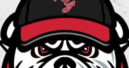 2022 North Gwinnett Bulldogs Playlist for Bulldog baseball