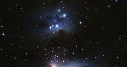 Orion Orion