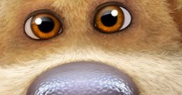 Close-up of a cute animated bear face with expressive eyes, perfect for sharing funny Memes Mp3 moments.