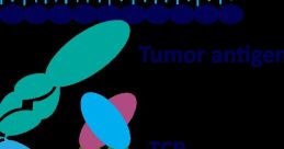 Binding of tumor antigen to TCR and CD3ε, illustrating T-cell activation mechanisms in immunology research.