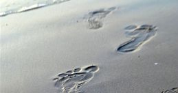 Footsteps - General Footsteps - General clips and effects to play and download.