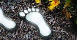 Footsteps - Outdoor Footsteps - Outdoor clips and effects to play and download.