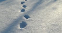 Footsteps In Snow Footsteps in snow clips and effects to play and download.