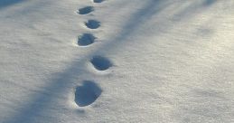 Footsteps In Snow Sounds