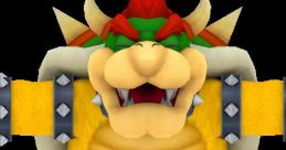 Bowser - New Super Mario Bros. 2 - Character Voices (3DS)