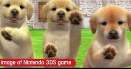 Pet Effects - Nintendogs + Cats - Pets (3DS) Pet from the 3DS game Nintendogs + Cats.