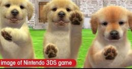 Pet Sound Effects - Nintendogs + Cats - Pets (3DS)