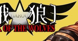 Terry Bogard - Garou: Mark of the Wolves - Voices (Arcade) Voice from the Arcade game Garou: Mark of the Wolves.