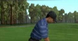 Effects - Tiger Woods PGA Tour 2005 - Miscellaneous (DS - DSi) Effects - Tiger Woods PGA Tour 2005 - Miscellaneous (DS -