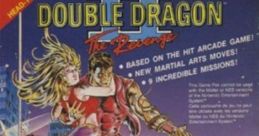 Effects - Double Dragon II: The Revenge - General (NES)