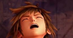 Sora from Kingdom Hearts 3 expressing strong emotion; key character voice in PlayStation 4 adventure.