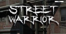 Street Warrior - Video Game Video game from Street Warrior for PS2. Published by Phoenix Games (2007). Uploaded by