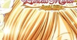 Princess Maker 4 Special Edition プリンセスメーカー4DS -スペシャル エディション- 프린세스 메이커 4 스페셜 에디션 - Video Game