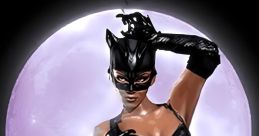 Catwoman The Game Unofficial - Video Game Video game from Catwoman The Game Unofficial for GC, PS2, Xbox. Published by