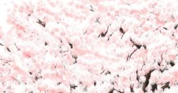 Cherry petals fall like teardrops... Arrangement Album Evolution それは舞い散る桜のように 完全版 アレンジアルバム Evolution
Sore wa Maichiru Sakura no Youni Complete Version Arrange Album Evolutio...
