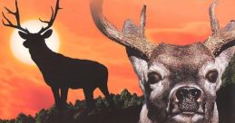 Deer Hunting USA - Video Game Music