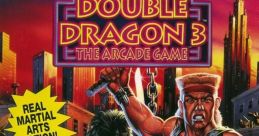 Double Dragon 3: The Rosetta Stone Double Dragon III: The Sacred Stones ダブルドラゴン3 ザ・ロゼッタストーン - Video Game 