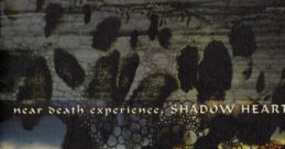 Near death experience, SHADOW HEARTS Arrangetracks ニア・デス・エクスペリエンス "シャドウ ハーツ" アレンジトラックス Shadow