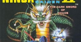 Ninja Gaiden II: The Dark Sword of Chaos Shadow Warriors II: The Dark Sword of Chaos 忍者龍剣伝II 暗黒の邪神剣 - Video Game