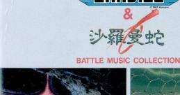 Original Sound of Gradius & Salamander: Battle Music Collection オリジナル・サウンド・オブ・グラディウス＆沙羅曼蛇 バトル ミュージック コレクション - Video Game Music