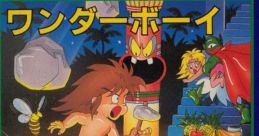 Wonder Boy (SG-1000) Revenge of Drancon ワンダーボーイ - Video Game Video game from Wonder Boy (SG-1000) Revenge of