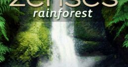 Zenses: Rainforest - Video Game Music