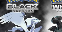 Nintendo DS Pokémon Black・White Super Nintendo DS Pokémon Black・White Super ニンテンドーDS