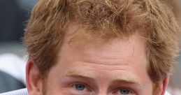 Prince Harry Type your text to hear it in the voice of the Prince Harry .