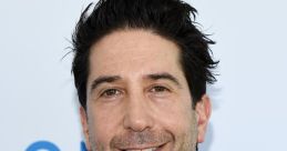 David Schwimmer Type your text and hear it in the voice of David Schwimmer .