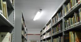 Biblioteca SFX