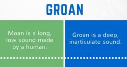 Comparison of "Moan" and "Groan" highlights sound characteristics, usage, and emotional context in pain and pleasure.