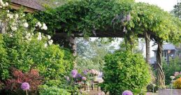 Garden You can immerse yourself in a symphony of natural with Garden S. From the peaceful rustling of leaves in the