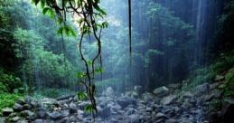 Lluvia Lluvia Bajo Techo - Rain Under The Roof #lluvia #roof #rain #bajo #under brings a sense of comfort and coziness