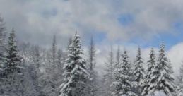 Snow Feel the crispness in the air as the ice delicately falls from the branches of the tree on February 21st, 2015. The of